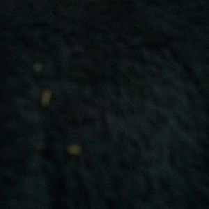 Meet your Posher, Kayce